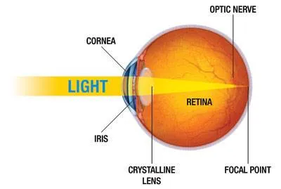 Diagram showing light entering the eye